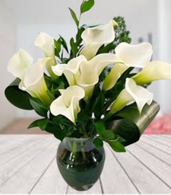 Beautiful Dozen White Calla Lilies in Glass Vase