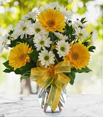 Beauty - White Daisies & Yellow Gerberas Bouquet