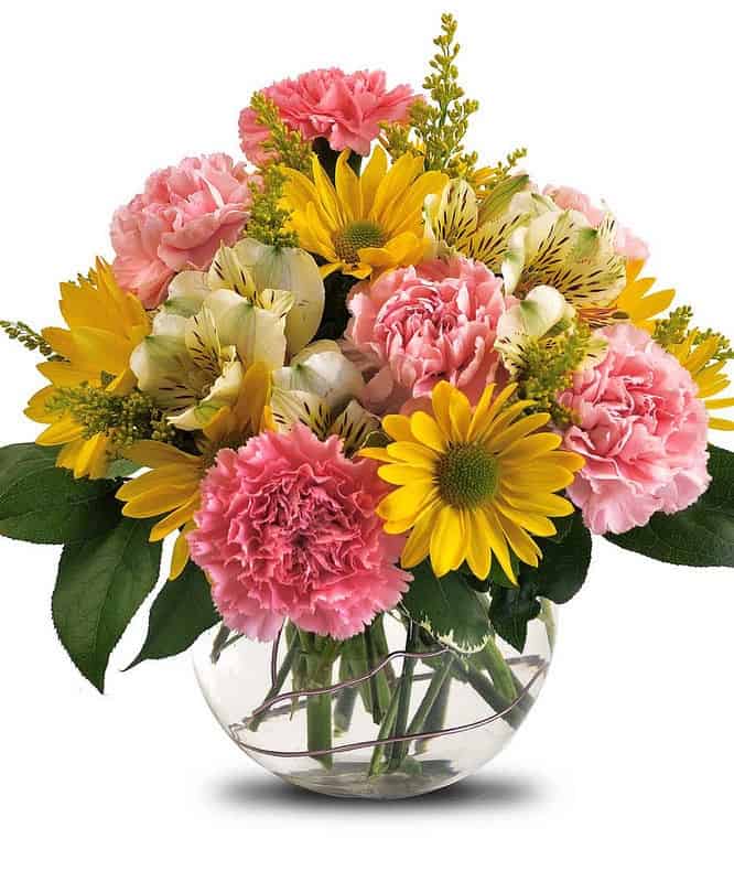 Morning Dew - Pink Carnations, Yellow Daisies & Alstroemeria