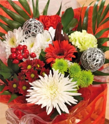 Kaleidoscope of Seasonal Christmas Flowers