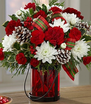 Christmas Treasure Red Carnations