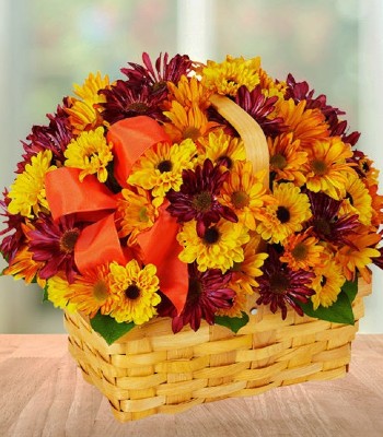 Country Scents - Fall Daisy Basket