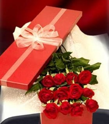'I Love You' Premium Dozen Roses in Red Box