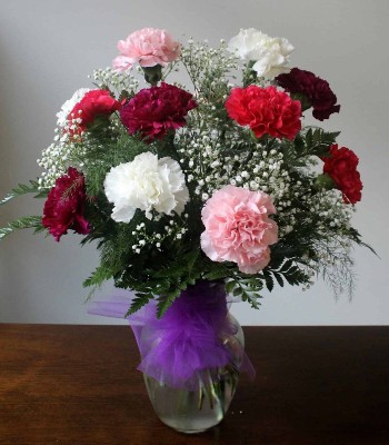 Dozen Mix Carnations To Surprise Someone