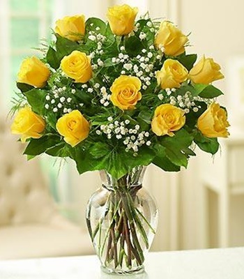 Dozen Yellow Roses & Baby's Breath in Glass Vase