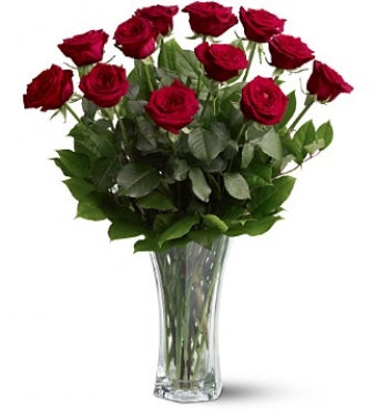 Rose Bouquet - Dozen Premium Long Stem Roses