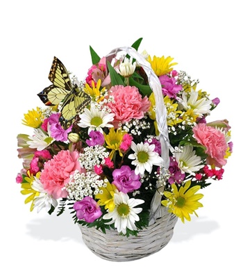 Flower Basket Just To Cheer Someone