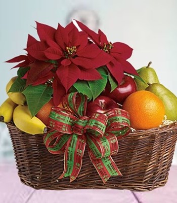Poinsettia & Fruit Basket