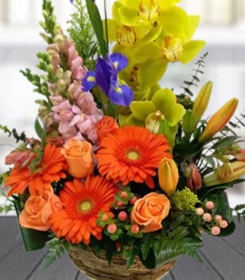 Joy Basket - Gerberas, Lilies, Roses, Snapdragon and Orchid