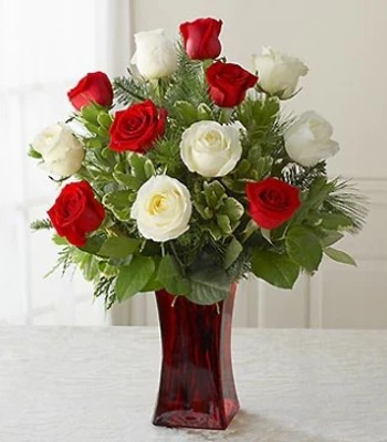 One Dozen White and Red Roses