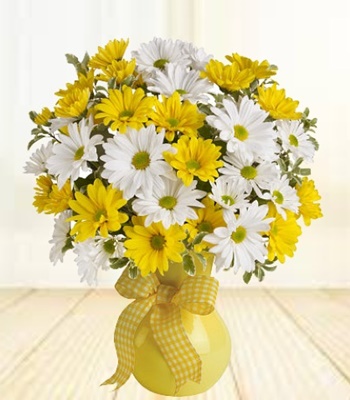 Mellow Yellow & White Daisies in Yellow Vase & Checkered Bow