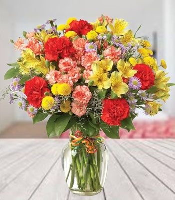 Celebrate Any Occassion - Assorted Carnations & Alstroemeria