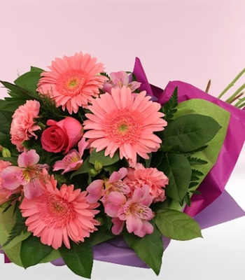 Splendor - Pink Roses, Alstroemerias, Gerbera Daisies & Carnations