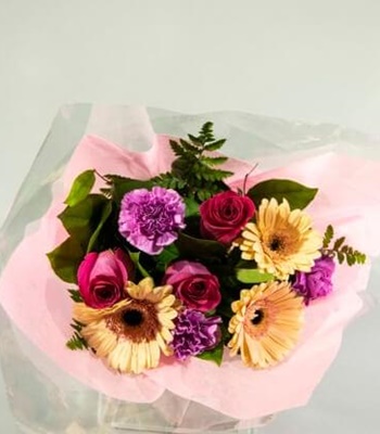Blushing Blossoms - Roses, Gerberas, Carnations & Baby's Breath