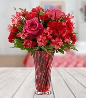 Simply All Red Flowers