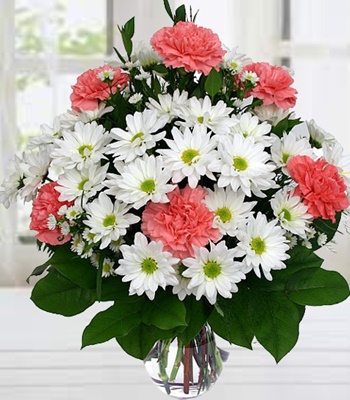 Spring Dreams - Daisies with Carnations