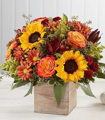 Fresh Fall - Sunflowers, Roses, Chrysanthemums & Solidaster