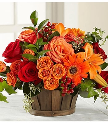 Country Meadow - Thanksgiving Bounty Bouquet
