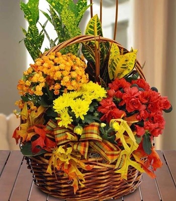 Thanksgiving Plants Basket