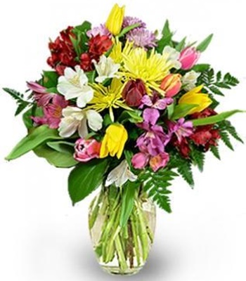 Spring Getaway - Tulips, Alstroemeria, Poms with Greenery