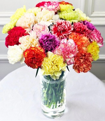 24 Assorted Mix Colored Carnations