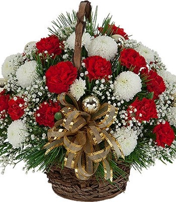 Winter Magic Red and White Carnations