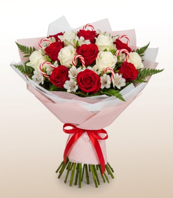 Christmas Roses