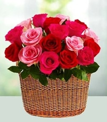 Rose Flower Basket - 1 Dozen Red and Pink Roses