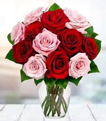 Rose Bouquet - One Dozen Red and Pink Roses With Free Vase