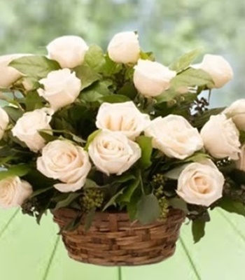 White Rose Basket - Dozen White Roses