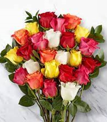 Two Dozen Mix Colored Assorted Roses