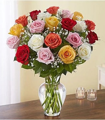 Two Dozen Premium Mix Colored Roses in Vase