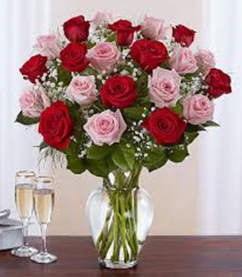 Two Dozen Red and Pink Roses
