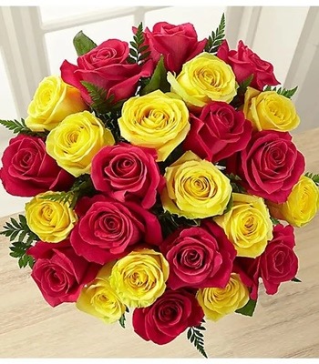 Two Dozen Red and Yellow Roses