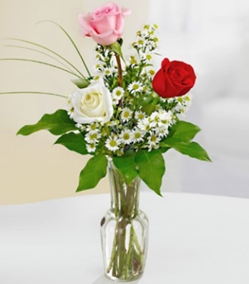 Mix Color Rose Bouquet - 3 Roses