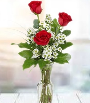 3 Red Rose Arrangement in Vase