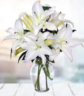 Lily Arrangement - 5 White Lilies With Free Vase