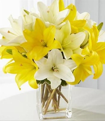 Lily Flower Arrangement - White and Yellow Lilies With Free Vase