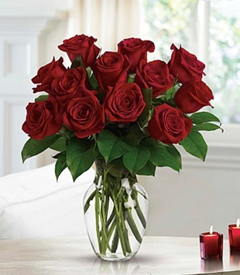 Anniversary Red Roses