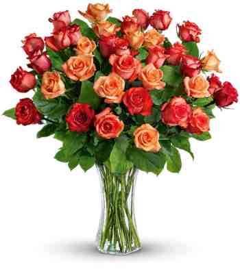 Anniversary Roses