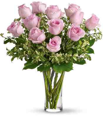 Dozen Pink Roses