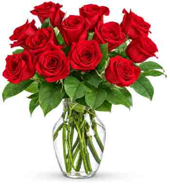 Dozen Red Roses