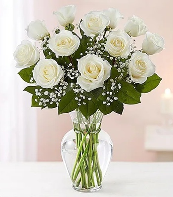 White Roses - Dozen White Rose Bouquet
