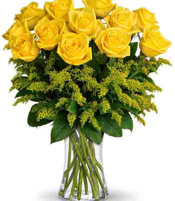 Dozen Yellow Roses