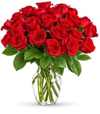 Two Dozen Red Roses