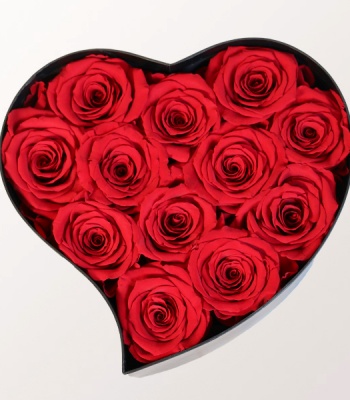 12 Eternal Roses Heart