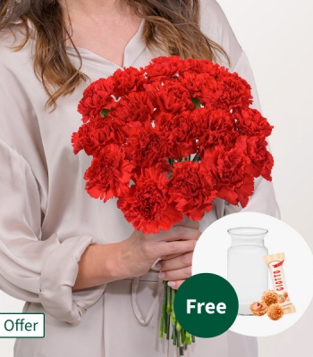 19 Red Carnations