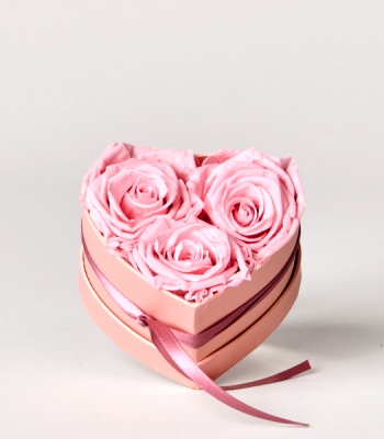 Birthday Gift - Preserved Real Rose