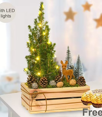 Christmas Arrangement With Lights & Ferrero Rocher