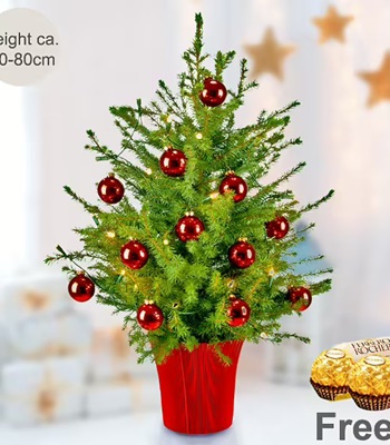 Christmas Tree With Lights & 2 Ferrero Rocher